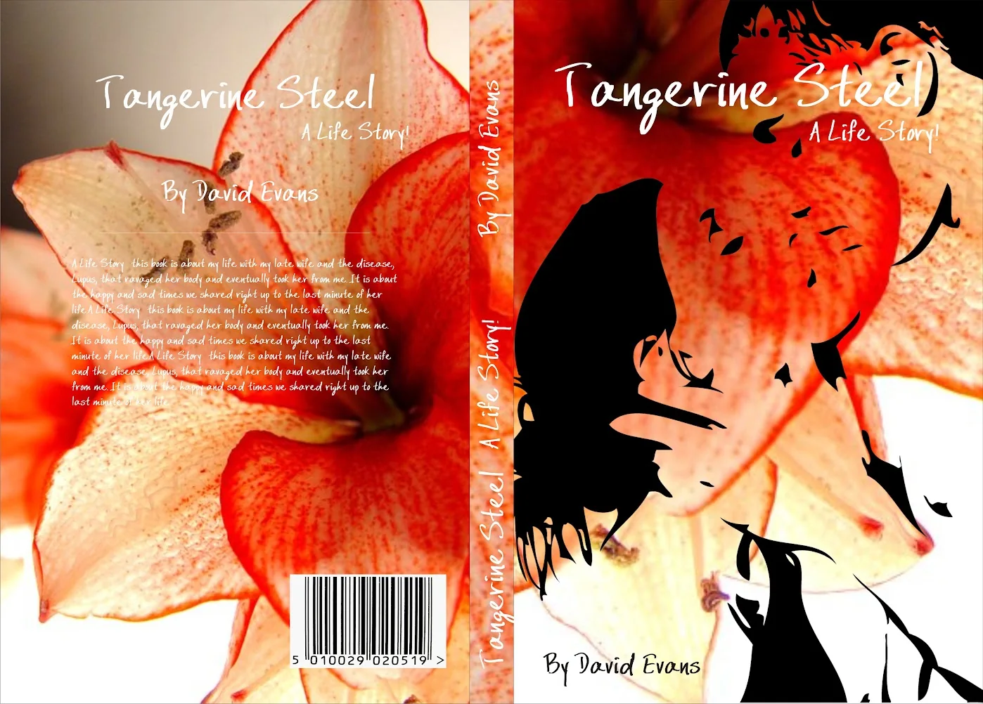 Tangerine — Book Cover