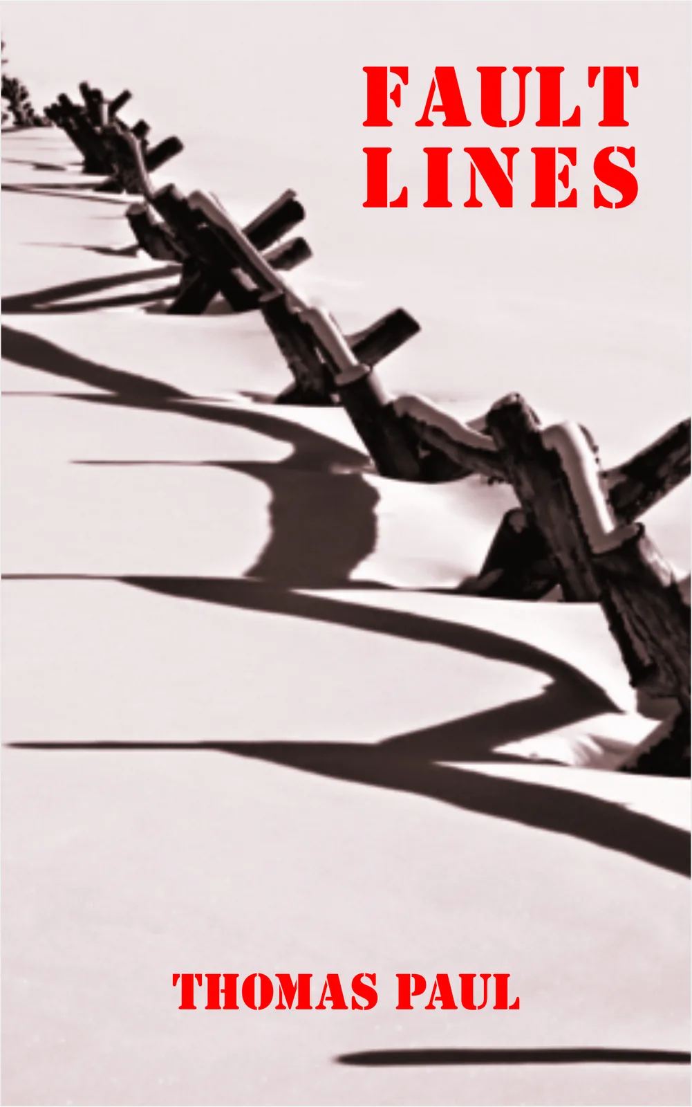 Fault Lines book cover