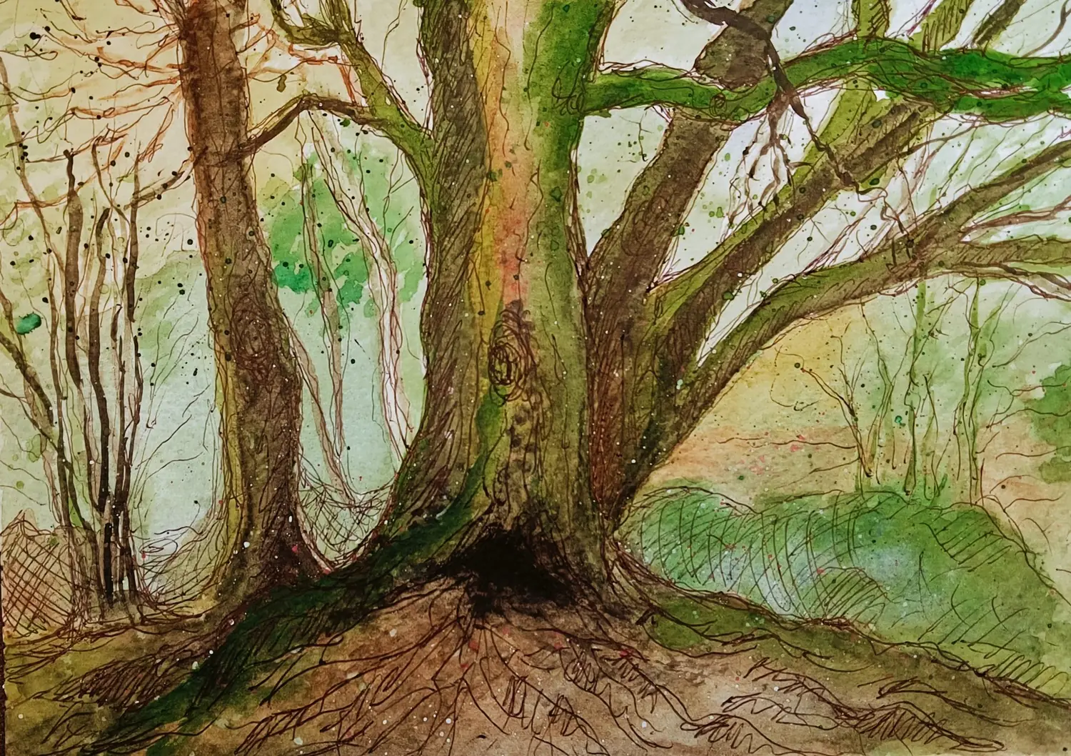 Fine art painting 60, landscapes & nature
