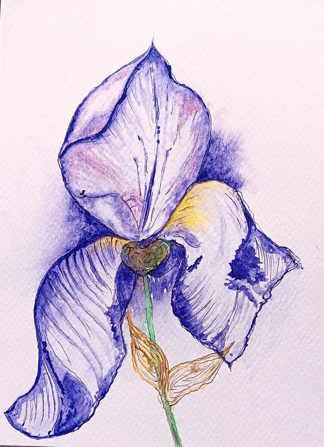 Fine art painting 169, still life & botanicals